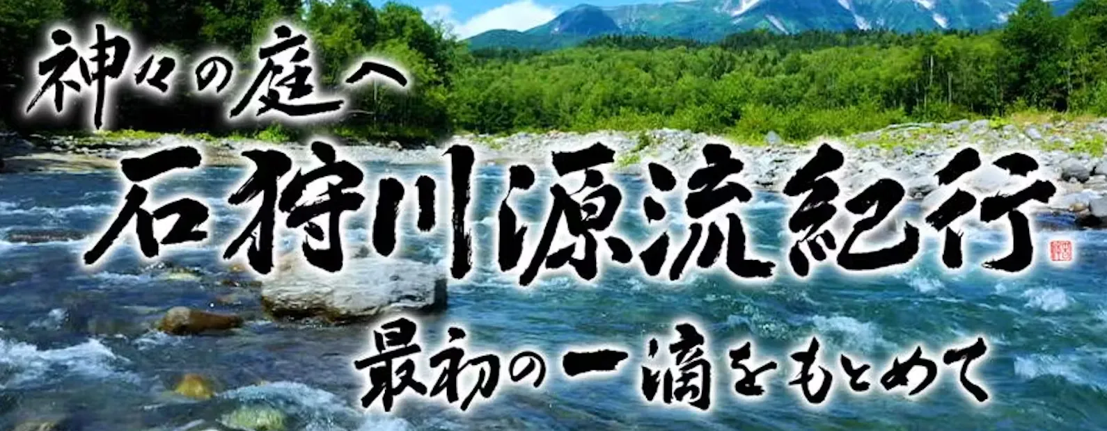 うちのコ、知りませんか？～ペット探偵の事件簿～